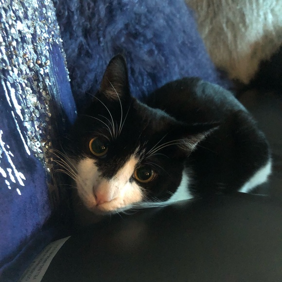 Meet your Posher, Jackie - Picture 5 of 10